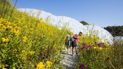 Two people looking closely at flowers in the Outdoor Gardens with Biomes in the background